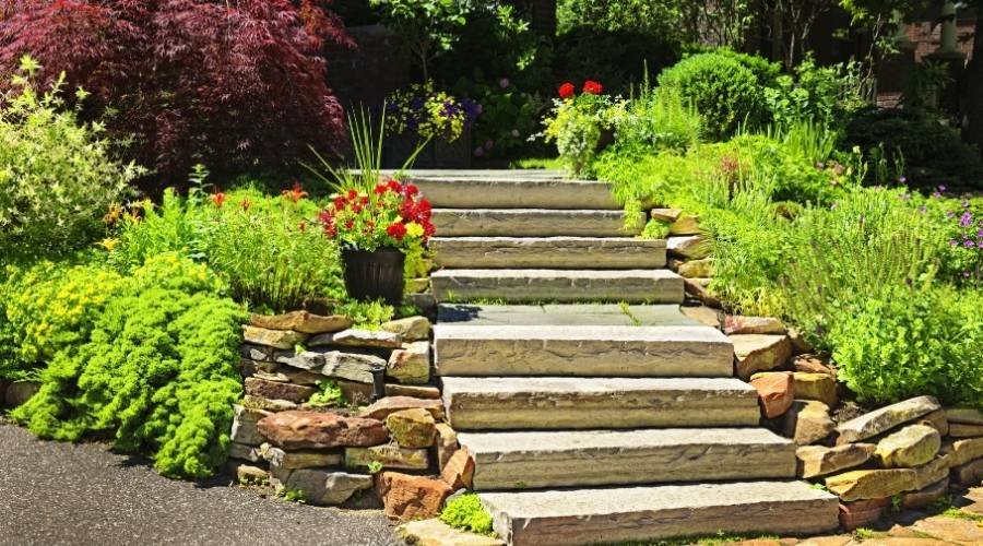 landscaping-renovation-Sydney