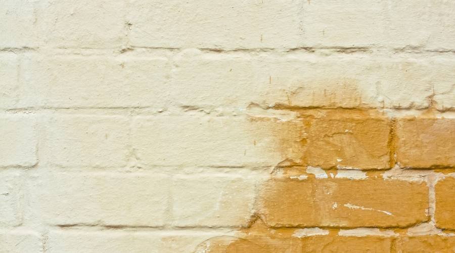 rising-damp-solutions-Sydney