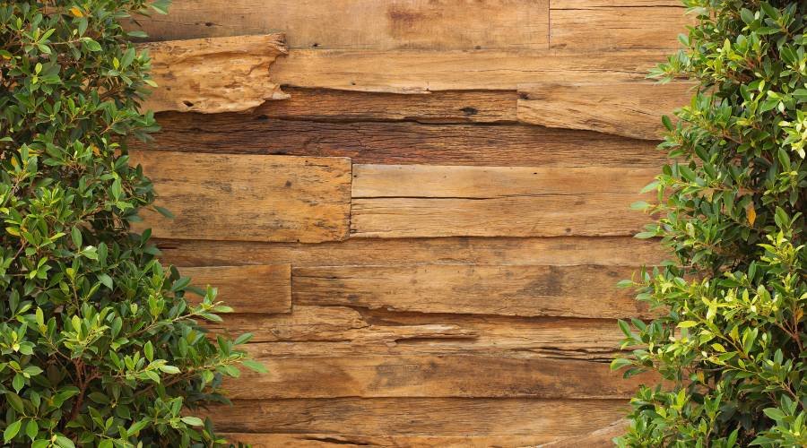 feature-wall-wood